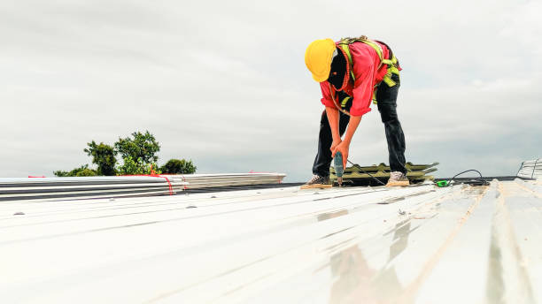 Best Asphalt Shingle Roofing  in Bay Park, NY