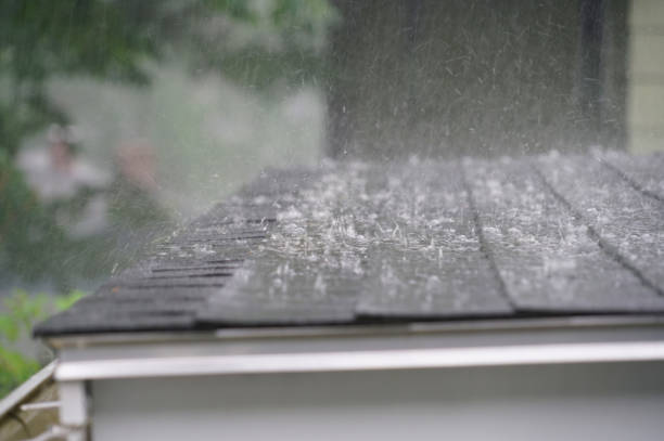 Best Storm Damage Roof Repair  in Bay Park, NY